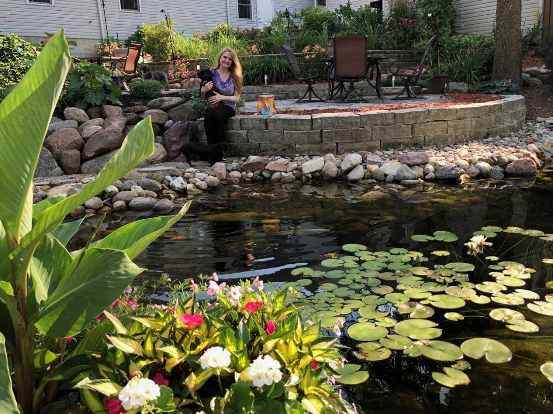 koi pond with lilies